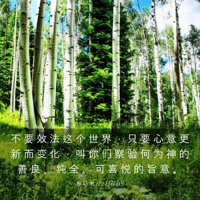 Picture 03 - 罗 马 书 12:2 CUVS - 不 要 效 法 这 个 世 界 ， 只 要 心 - Bible Verse Picture