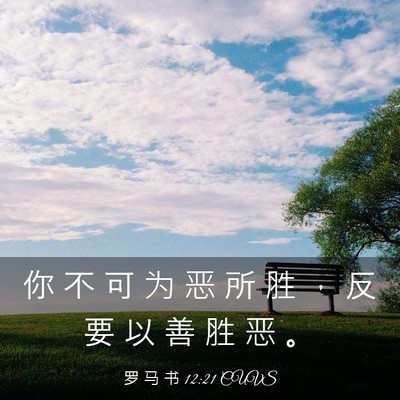 Picture 03 - 罗 马 书 12:21 CUVS - 你 不 可 为 恶 所 胜 ， 反 要 以 善 - Bible Verse Picture
