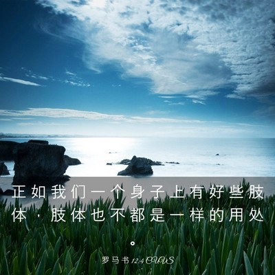 Picture 03 - 罗 马 书 12:4 CUVS - 正 如 我 们 一 个 身 子 上 有 好 些 - Bible Verse Picture