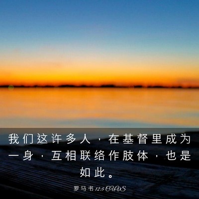 Picture 03 - 罗 马 书 12:5 CUVS - 我 们 这 许 多 人 ， 在 基 督 里 成 - Bible Verse Picture