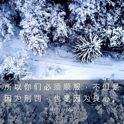 Picture 03 - 罗 马 书 13:5 CUVS - 所 以 你 们 必 须 顺 服 ， 不 但 是 - Bible Verse Picture