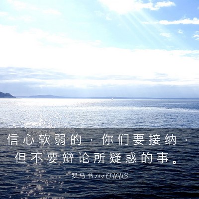 Picture 03 - 罗 马 书 14:1 CUVS - 信 心 软 弱 的 ， 你 们 要 接 纳 ， - Bible Verse Picture