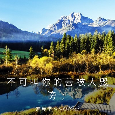 Picture 03 - 罗 马 书 14:16 CUVS - 不 可 叫 你 的 善 被 人 毁 谤 - Bible Verse Picture