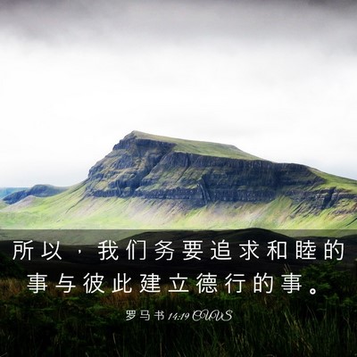 Picture 03 - 罗 马 书 14:19 CUVS - 所 以 ， 我 们 务 要 追 求 和 睦 的 - Bible Verse Picture