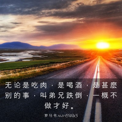 Picture 03 - 罗 马 书 14:21 CUVS - 无 论 是 吃 肉 ， 是 喝 酒 ， 是 甚 - Bible Verse Picture