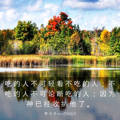 Picture 03 - 罗 马 书 14:3 CUVS - 吃 的 人 不 可 轻 看 不 吃 的 人 ； - Bible Verse Picture