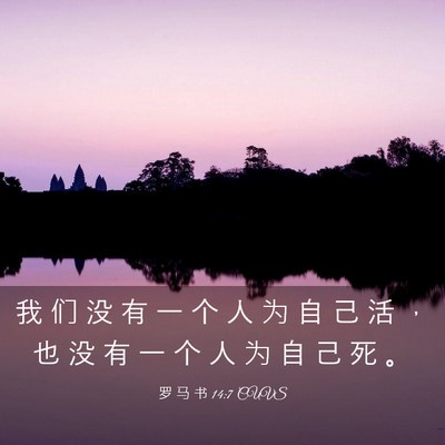 Picture 03 - 罗 马 书 14:7 CUVS - 我 们 没 有 一 个 人 为 自 己 活 ， - Bible Verse Picture