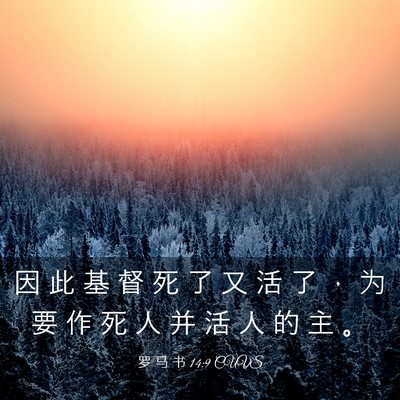 Picture 03 - 罗 马 书 14:9 CUVS - 因 此 基 督 死 了 又 活 了 ， 为 要 - Bible Verse Picture