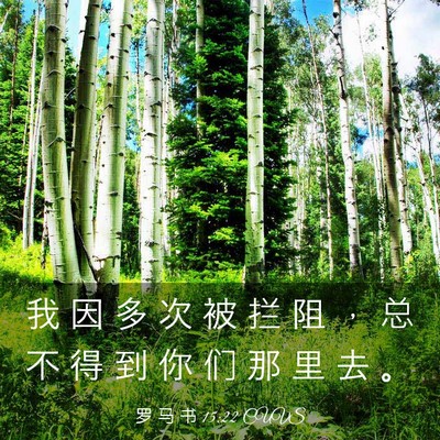 Picture 03 - 罗 马 书 15:22 CUVS - 我 因 多 次 被 拦 阻 ， 总 不 得 到 - Bible Verse Picture
