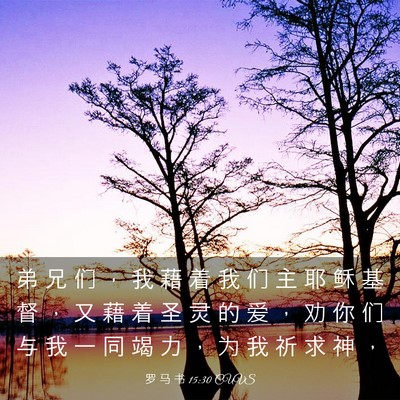 Picture 03 - 罗 马 书 15:30 CUVS - 弟 兄 们 ， 我 藉 着 我 们 主 耶 稣 - Bible Verse Picture