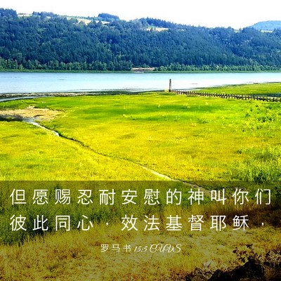 Picture 03 - 罗 马 书 15:5 CUVS - 但 愿 赐 忍 耐 安 慰 的 神 叫 你 们 - Bible Verse Picture