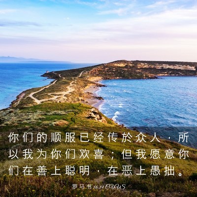 Picture 03 - 罗 马 书 16:19 CUVS - 你 们 的 顺 服 已 经 传 於 众 人 ， - Bible Verse Picture