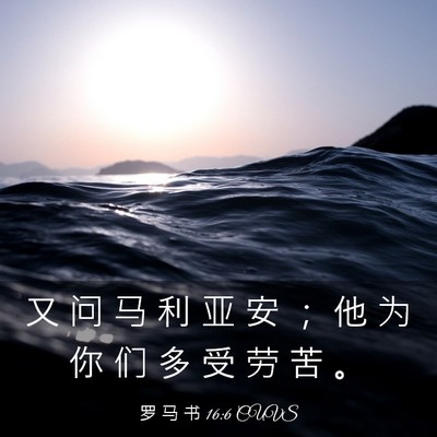 Picture 03 - 罗 马 书 16:6 CUVS - 又 问 马 利 亚 安 ； 他 为 你 们 多 - Bible Verse Picture