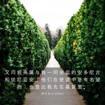Picture 03 - 罗 马 书 16:7 CUVS - 又 问 我 亲 属 与 我 一 同 坐 监 的 - Bible Verse Picture