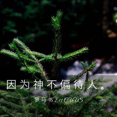 Picture 03 - 罗 马 书 2:11 CUVS - 因 为 神 不 偏 待 人 - Bible Verse Picture