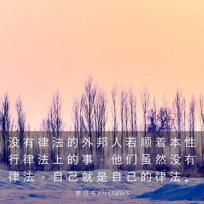 Picture 03 - 罗 马 书 2:14 CUVS - 没 有 律 法 的 外 邦 人 若 顺 着 本 - Bible Verse Picture
