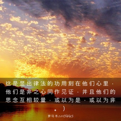 Picture 03 - 罗 马 书 2:15 CUVS - 这 是 显 出 律 法 的 功 用 刻 在 他 - Bible Verse Picture