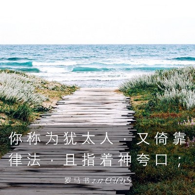 Picture 03 - 罗 马 书 2:17 CUVS - 你 称 为 犹 太 人 ， 又 倚 靠 律 法 - Bible Verse Picture