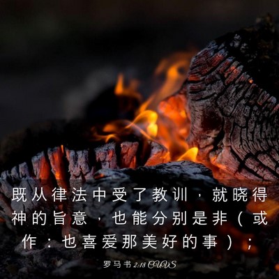 Picture 03 - 罗 马 书 2:18 CUVS - 既 从 律 法 中 受 了 教 训 ， 就 晓 - Bible Verse Picture