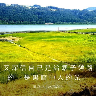 Picture 03 - 罗 马 书 2:19 CUVS - 又 深 信 自 己 是 给 瞎 子 领 路 的 - Bible Verse Picture