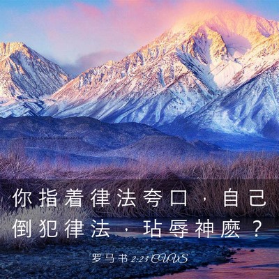 Picture 03 - 罗 马 书 2:23 CUVS - 你 指 着 律 法 夸 口 ， 自 己 倒 犯 - Bible Verse Picture