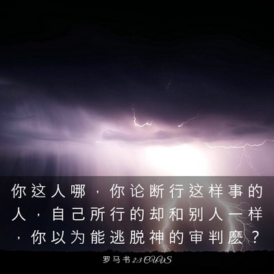 Picture 03 - 罗 马 书 2:3 CUVS - 你 这 人 哪 ， 你 论 断 行 这 样 事 - Bible Verse Picture