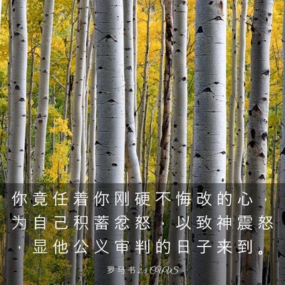 Picture 03 - 罗 马 书 2:5 CUVS - 你 竟 任 着 你 刚 硬 不 悔 改 的 心 - Bible Verse Picture