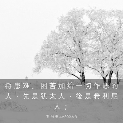 Picture 03 - 罗 马 书 2:9 CUVS - 将 患 难 、 困 苦 加 给 一 切 作 恶 - Bible Verse Picture