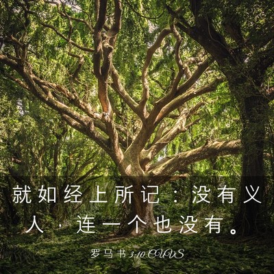 Picture 03 - 罗 马 书 3:10 CUVS - 就 如 经 上 所 记 ： 没 有 义 人 ， - Bible Verse Picture