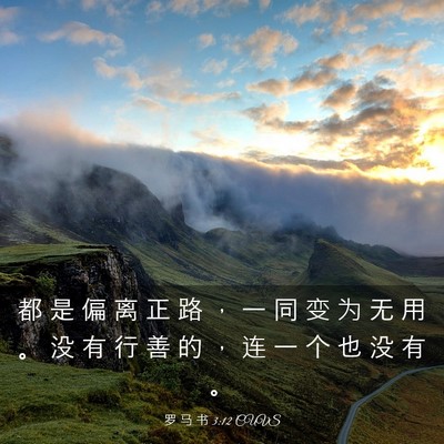 Picture 03 - 罗 马 书 3:12 CUVS - 都 是 偏 离 正 路 ， 一 同 变 为 无 - Bible Verse Picture