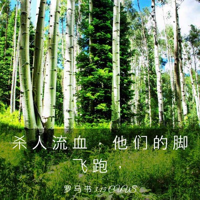 Picture 03 - 罗 马 书 3:15 CUVS - 杀 人 流 血 ， 他 们 的 脚 飞 跑 - Bible Verse Picture