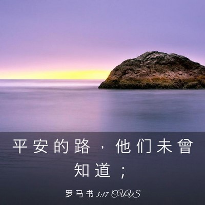 Picture 03 - 罗 马 书 3:17 CUVS - 平 安 的 路 ， 他 们 未 曾 知 道 - Bible Verse Picture