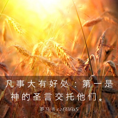 Picture 03 - 罗 马 书 3:2 CUVS - 凡 事 大 有 好 处 ： 第 一 是 神 的 - Bible Verse Picture