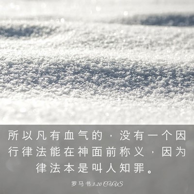 Picture 03 - 罗 马 书 3:20 CUVS - 所 以 凡 有 血 气 的 ， 没 有 一 个 - Bible Verse Picture