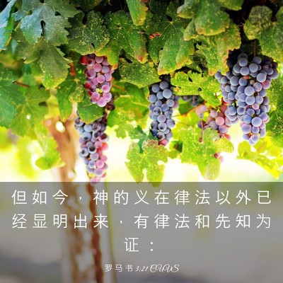 Picture 03 - 罗 马 书 3:21 CUVS - 但 如 今 ， 神 的 义 在 律 法 以 外 - Bible Verse Picture