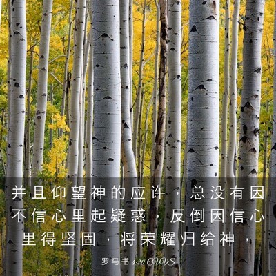 Picture 03 - 罗 马 书 4:20 CUVS - 并 且 仰 望 神 的 应 许 ， 总 没 有 - Bible Verse Picture