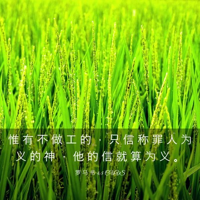 Picture 03 - 罗 马 书 4:5 CUVS - 惟 有 不 做 工 的 ， 只 信 称 罪 人 - Bible Verse Picture