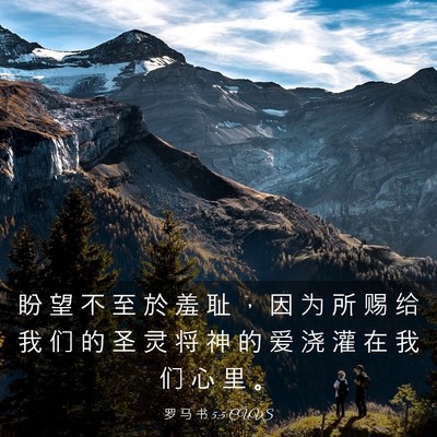 Picture 03 - 罗 马 书 5:5 CUVS - 盼 望 不 至 於 羞 耻 ， 因 为 所 赐 - Bible Verse Picture