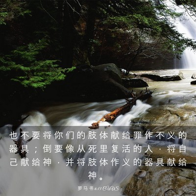 Picture 03 - 罗 马 书 6:13 CUVS - 也 不 要 将 你 们 的 肢 体 献 给 罪 - Bible Verse Picture