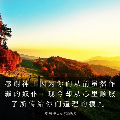 Picture 03 - 罗 马 书 6:17 CUVS - 感 谢 神 ！ 因 为 你 们 从 前 虽 然 - Bible Verse Picture