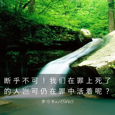 Picture 03 - 罗 马 书 6:2 CUVS - 断 乎 不 可 ！ 我 们 在 罪 上 死 了 - Bible Verse Picture