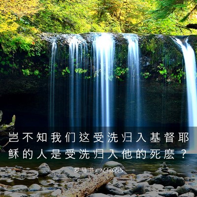 Picture 03 - 罗 马 书 6:3 CUVS - 岂 不 知 我 们 这 受 洗 归 入 基 督 - Bible Verse Picture