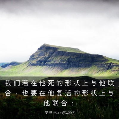 Picture 03 - 罗 马 书 6:5 CUVS - 我 们 若 在 他 死 的 形 状 上 与 他 - Bible Verse Picture