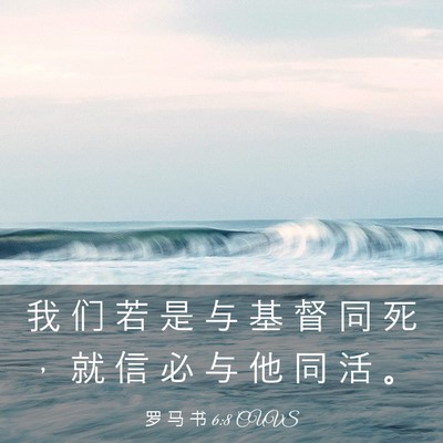 Picture 03 - 罗 马 书 6:8 CUVS - 我 们 若 是 与 基 督 同 死 ， 就 信 - Bible Verse Picture