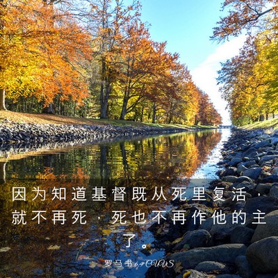 Picture 03 - 罗 马 书 6:9 CUVS - 因 为 知 道 基 督 既 从 死 里 复 活 - Bible Verse Picture
