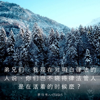 Picture 03 - 罗 马 书 7:1 CUVS - 弟 兄 们 ， 我 现 在 对 明 白 律 法 - Bible Verse Picture