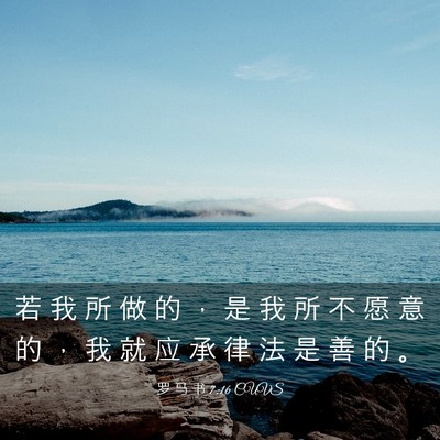 Picture 03 - 罗 马 书 7:16 CUVS - 若 我 所 做 的 ， 是 我 所 不 愿 意 - Bible Verse Picture