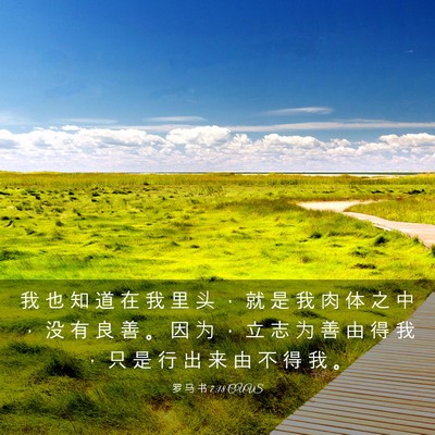 Picture 03 - 罗 马 书 7:18 CUVS - 我 也 知 道 在 我 里 头 ， 就 是 我 - Bible Verse Picture