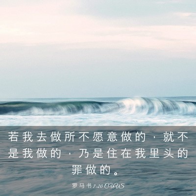 Picture 03 - 罗 马 书 7:20 CUVS - 若 我 去 做 所 不 愿 意 做 的 ， 就 - Bible Verse Picture