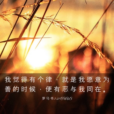 Picture 03 - 罗 马 书 7:21 CUVS - 我 觉 得 有 个 律 ， 就 是 我 愿 意 - Bible Verse Picture